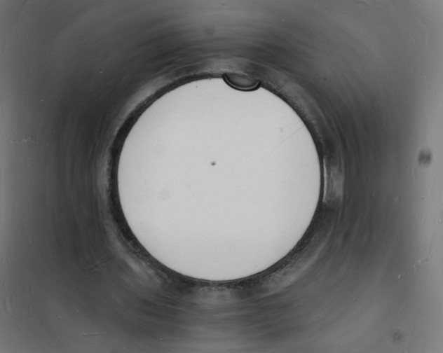 X0000101670435200808071048