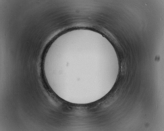X0000101670436200808071048