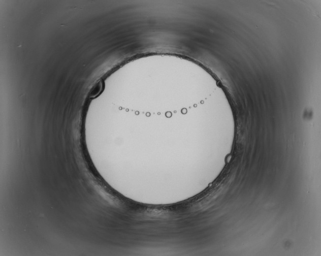 X0000101670437200808071048