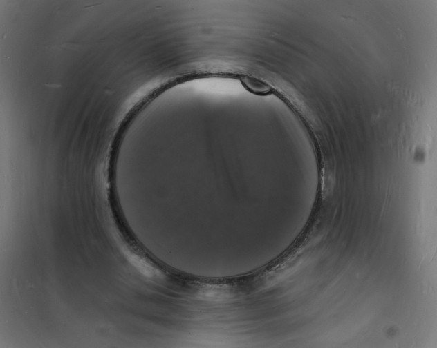 X0000101670438200808071048