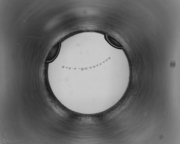 X0000101670439200808071049
