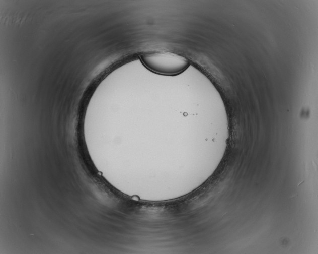 X0000101670440200808071049