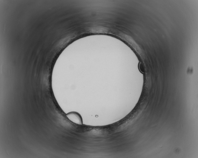 X0000101670441200808071049