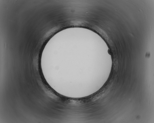 X0000101670442200808071049