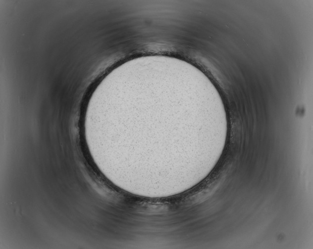 X0000101670443200808071049