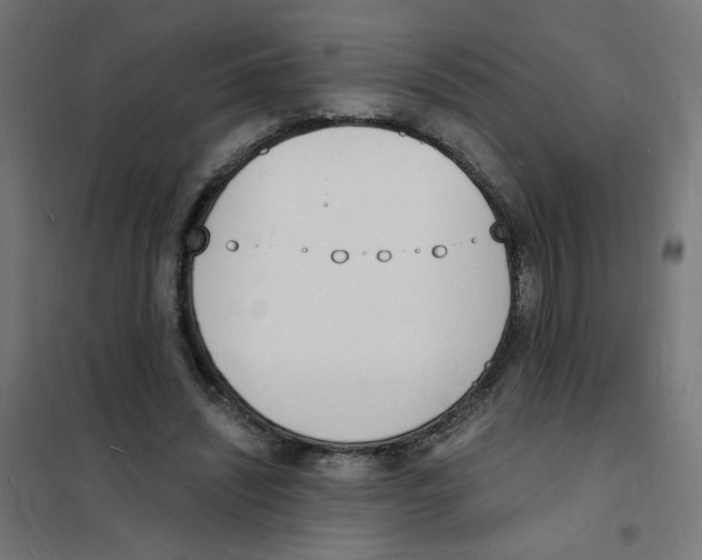 X0000101670444200808071049
