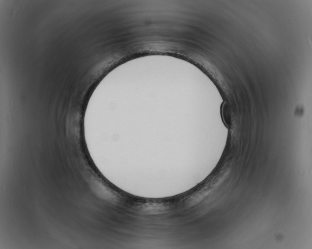 X0000101670445200808071049