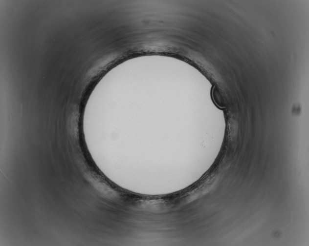 X0000101670446200808071049