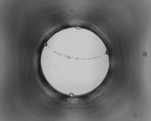 X0000101670448200808071049