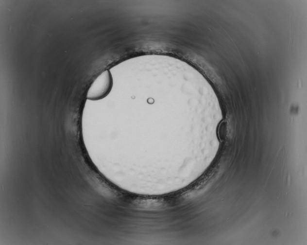 X0000101670449200808071049