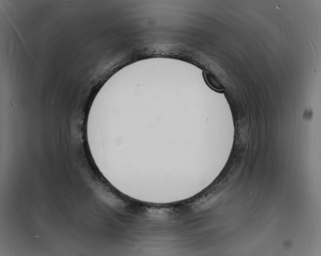 X0000101670450200808071049