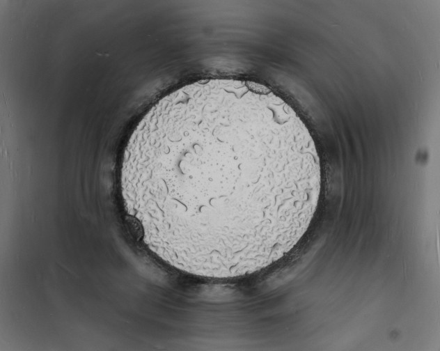 X0000101670451200808071049