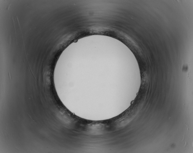X0000101670452200808071049