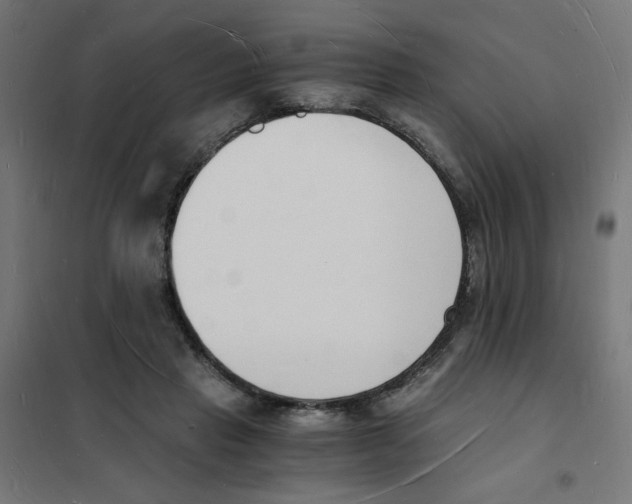 X0000101670453200808071049