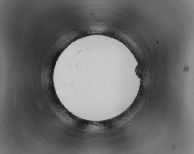 X0000101670455200808071049