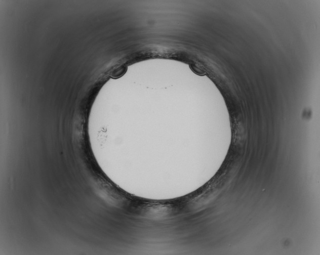 X0000101670456200808071049