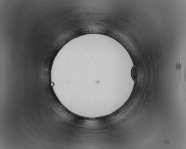 X0000101670457200808071049