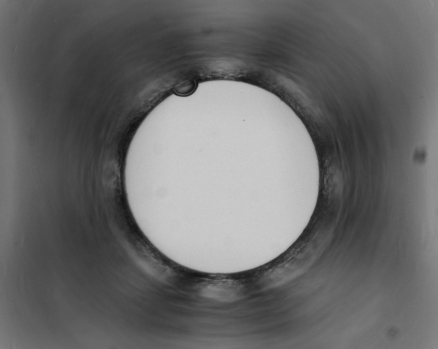 X0000101670459200808071049