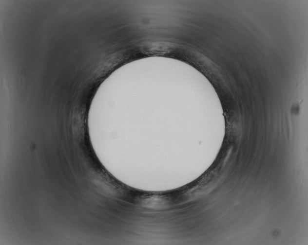 X0000101670460200808071049