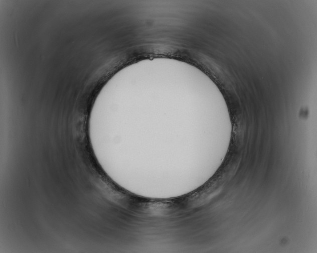 X0000101670462200808071049