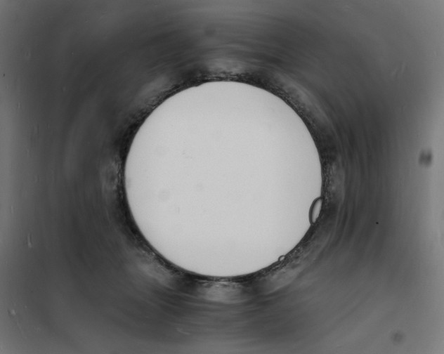 X0000101670463200808071049