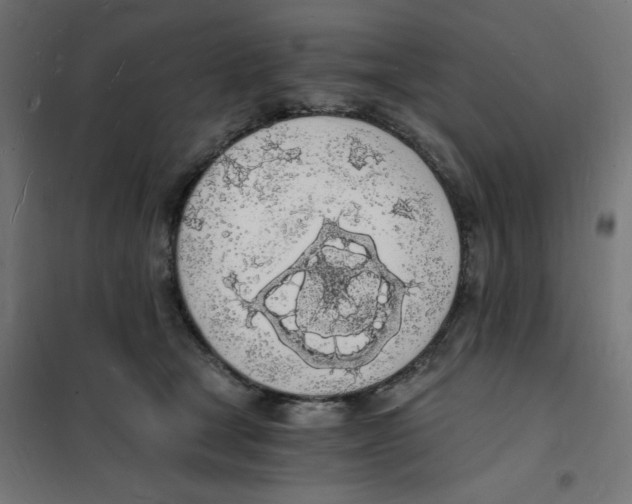 X0000101670465200808071049