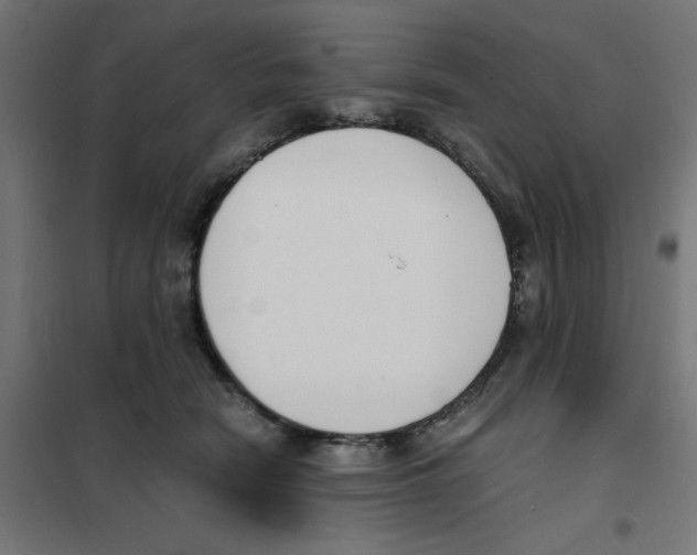 X0000101670466200808071049