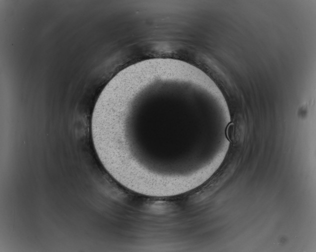X0000101670467200808071049