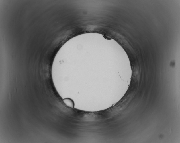 X0000101670470200808071049
