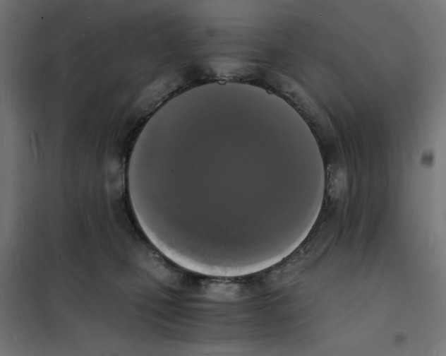 X0000101670471200808071049
