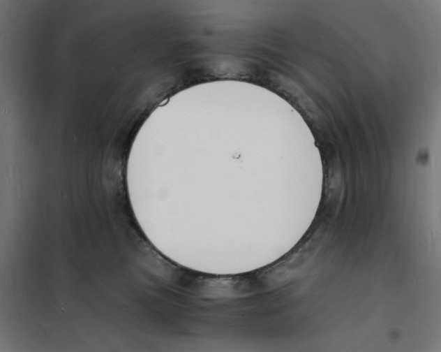 X0000101670473200808071049