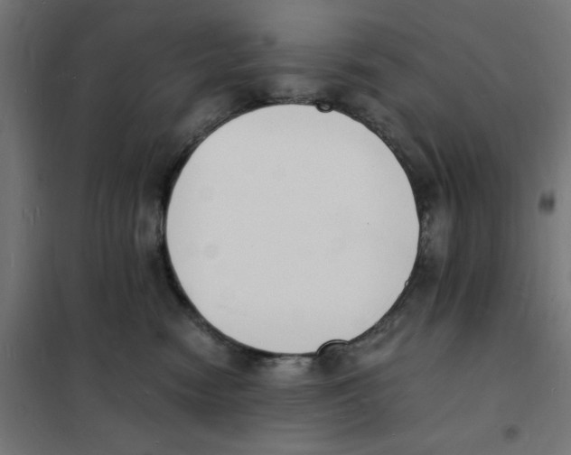 X0000101670474200808071049