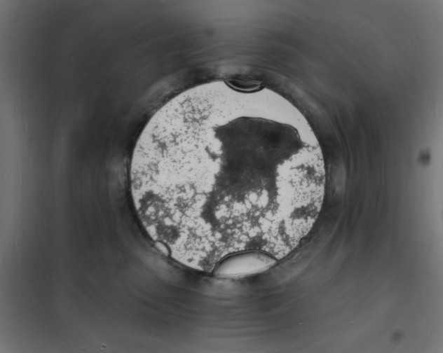X0000101670475200808071049