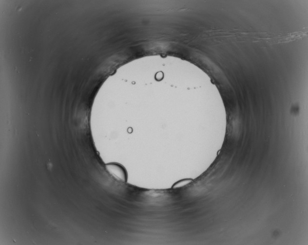 X0000101670477200808071049