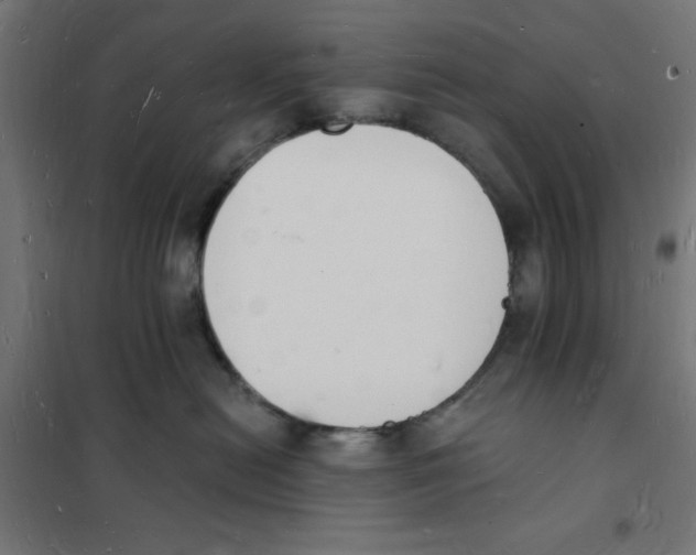 X0000101670478200808071049