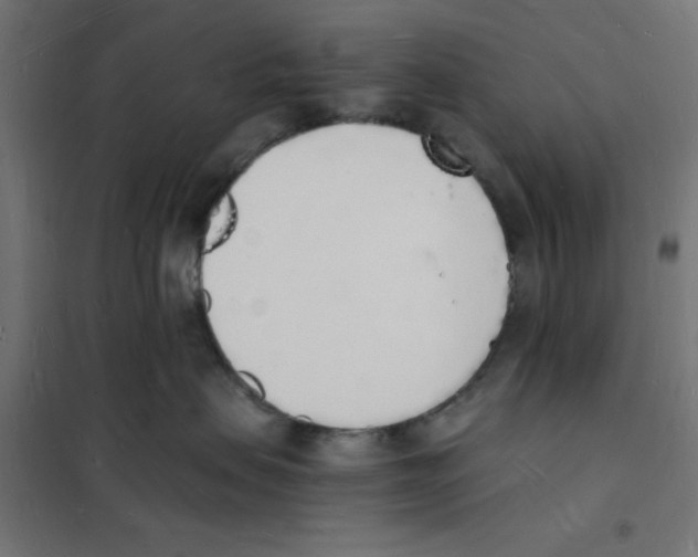 X0000101670479200808071049