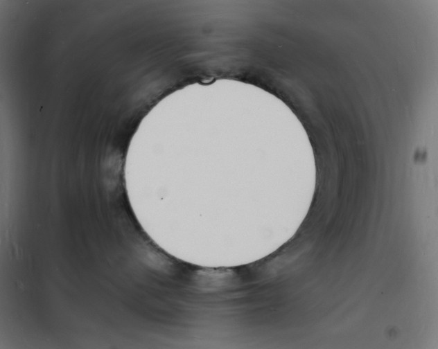 X0000101670480200808071049