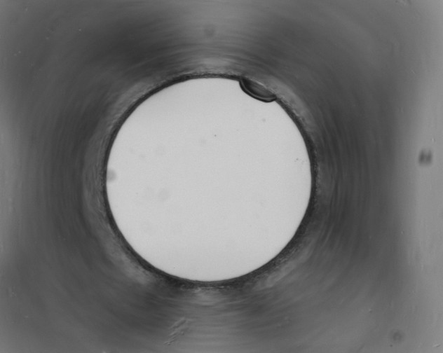 X0000101670481200808071048