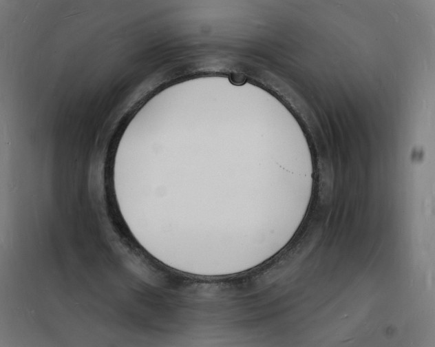 X0000101670482200808071048