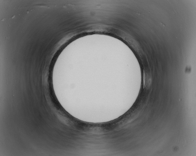 X0000101670483200808071048