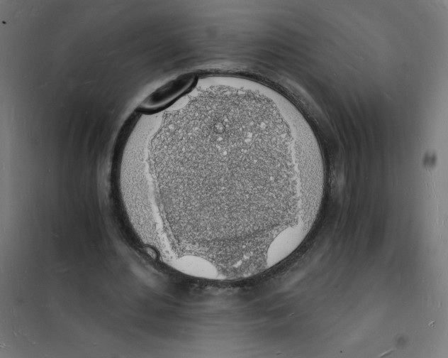 X0000101670484200808071048