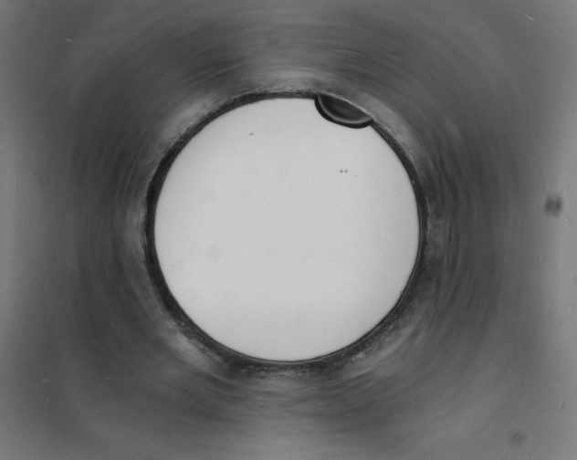 X0000101670485200808071048