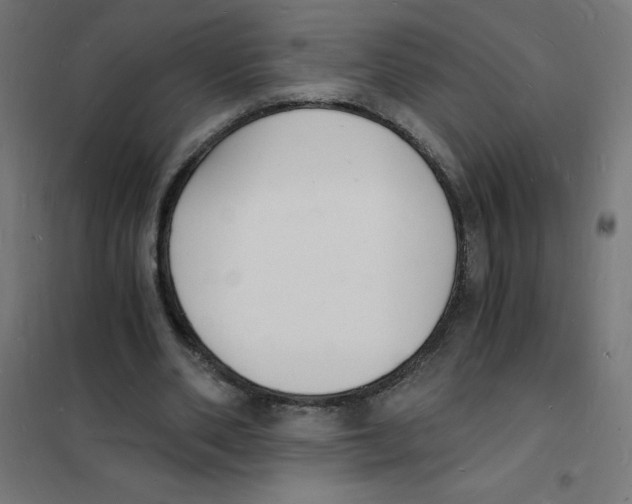 X0000101670486200808071048