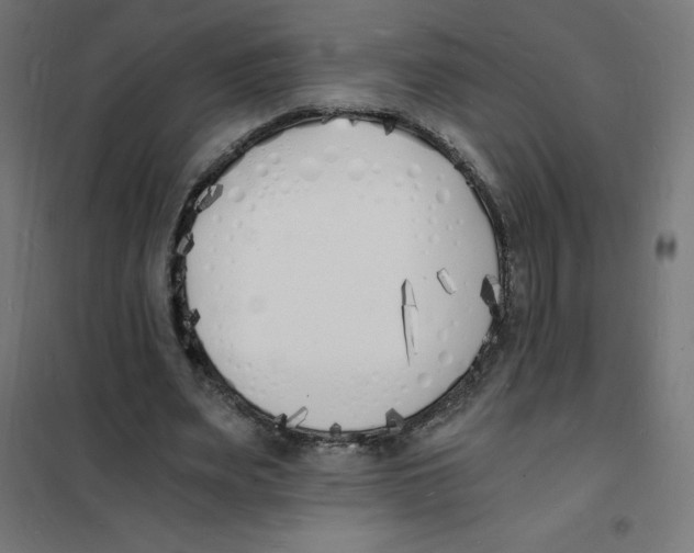 X0000101670487200808071048