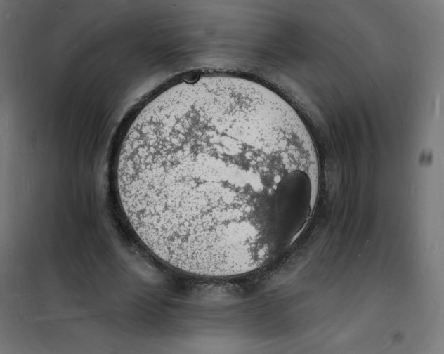 X0000101670488200808071048