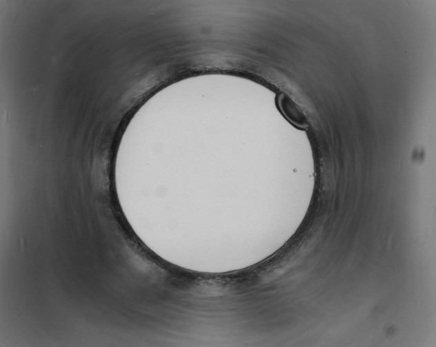 X0000101670489200808071048