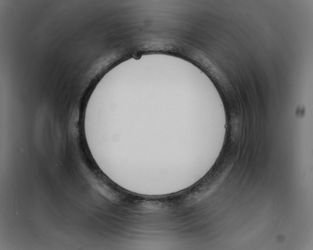 X0000101670490200808071048