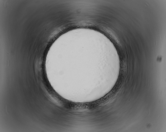 X0000101670491200808071048