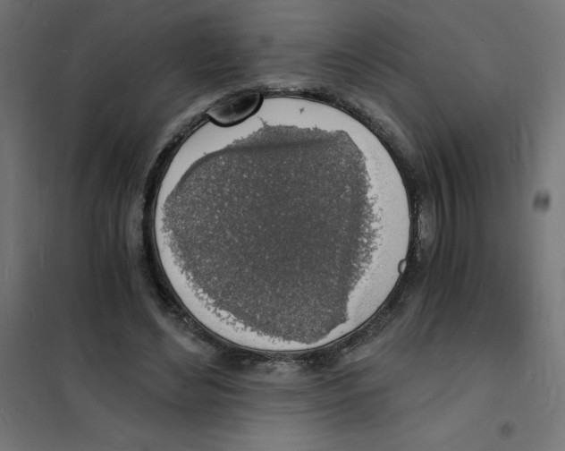 X0000101670492200808071048