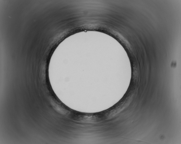 X0000101670493200808071048